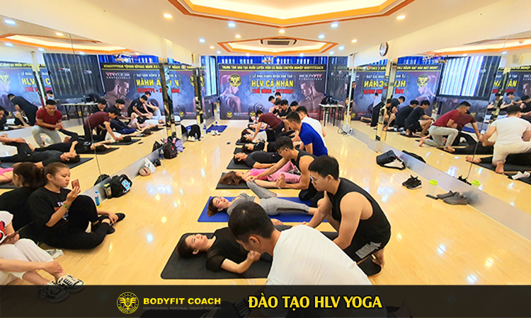 Đào Tạo HLV Yoga