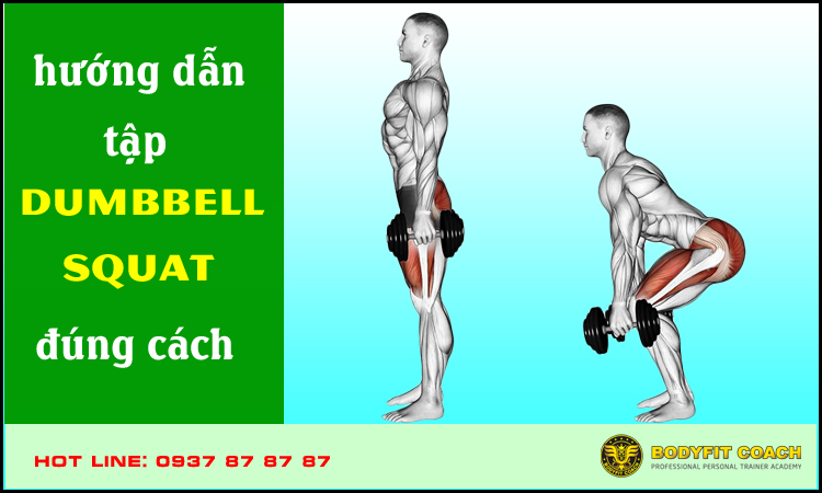 Hướng dẫn tập dumbbell squat đúng cách